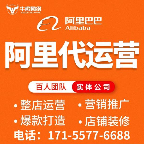 塔城电商代运营