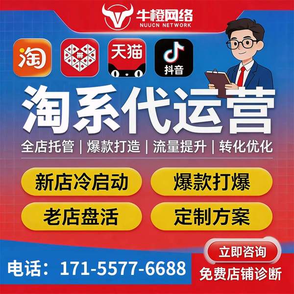 塔城电商代运营