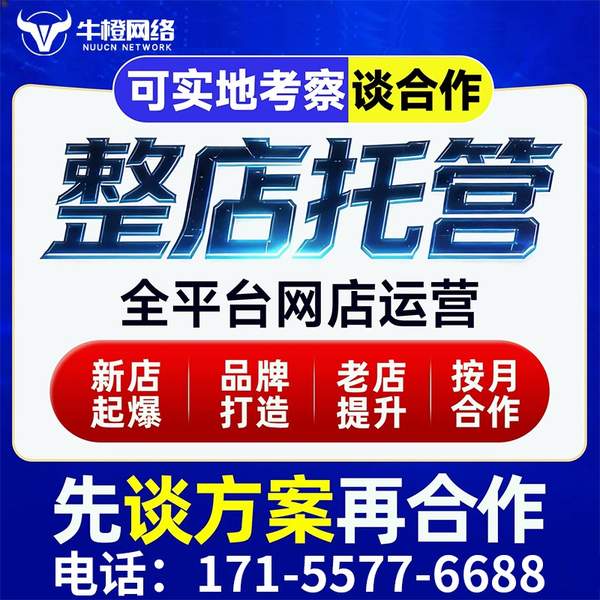 塔城电商代运营