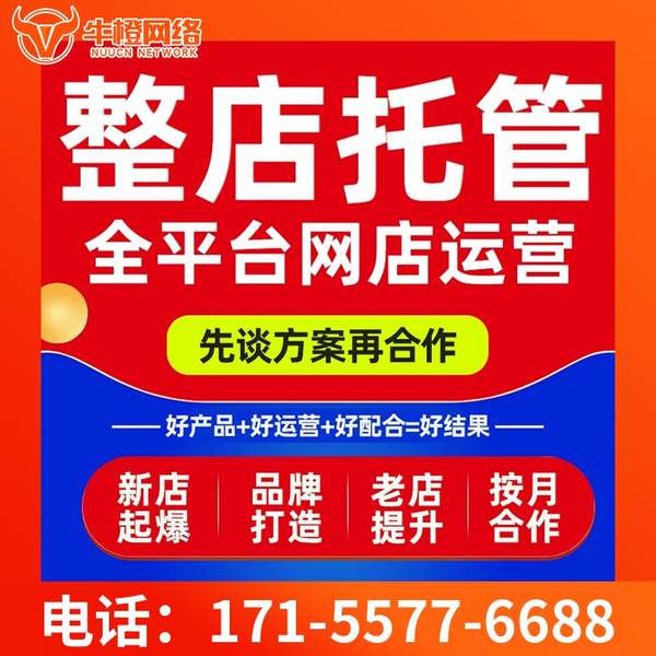 塔城电商代运营