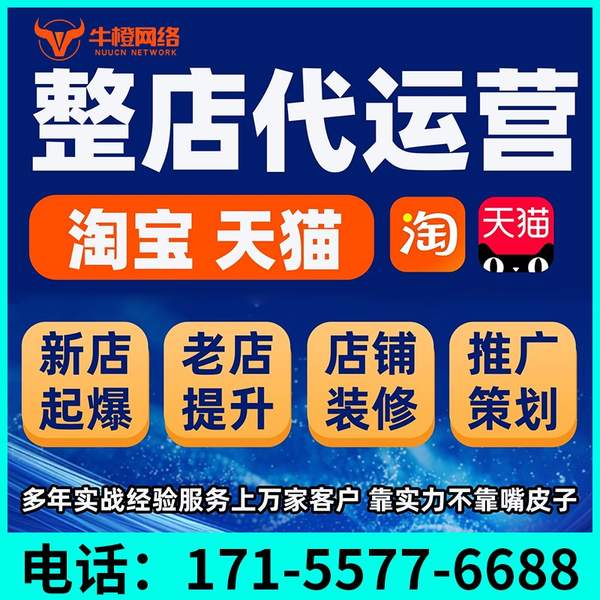 塔城电商代运营