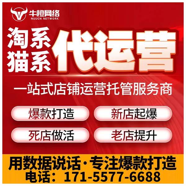 塔城电商代运营